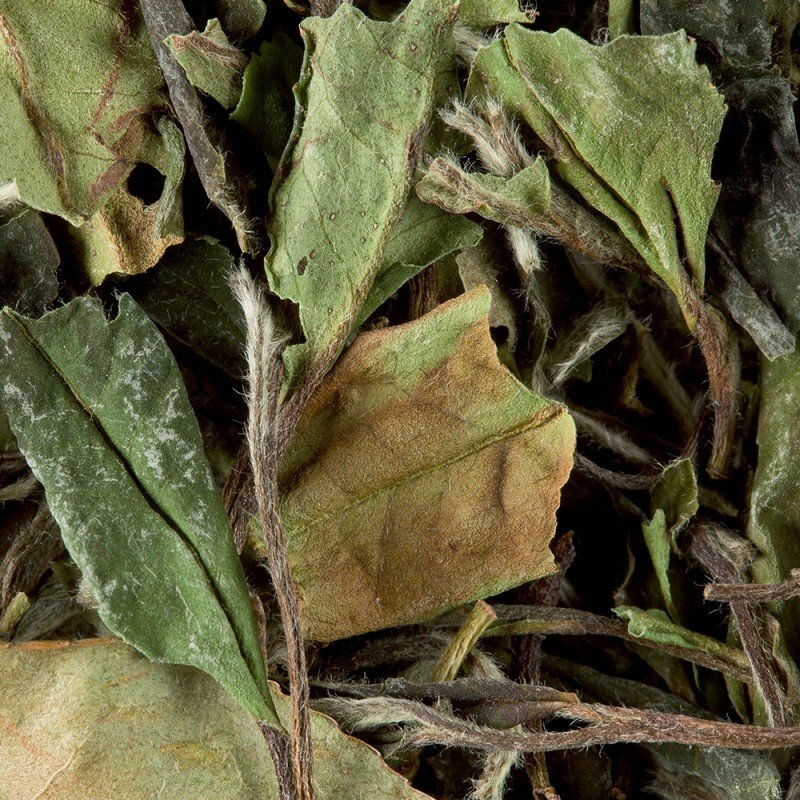 PAÏ MU TAN (Thé blanc de Chine)