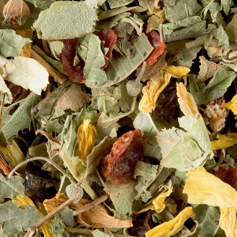 TISANE DE LA REYNE (Tisane)