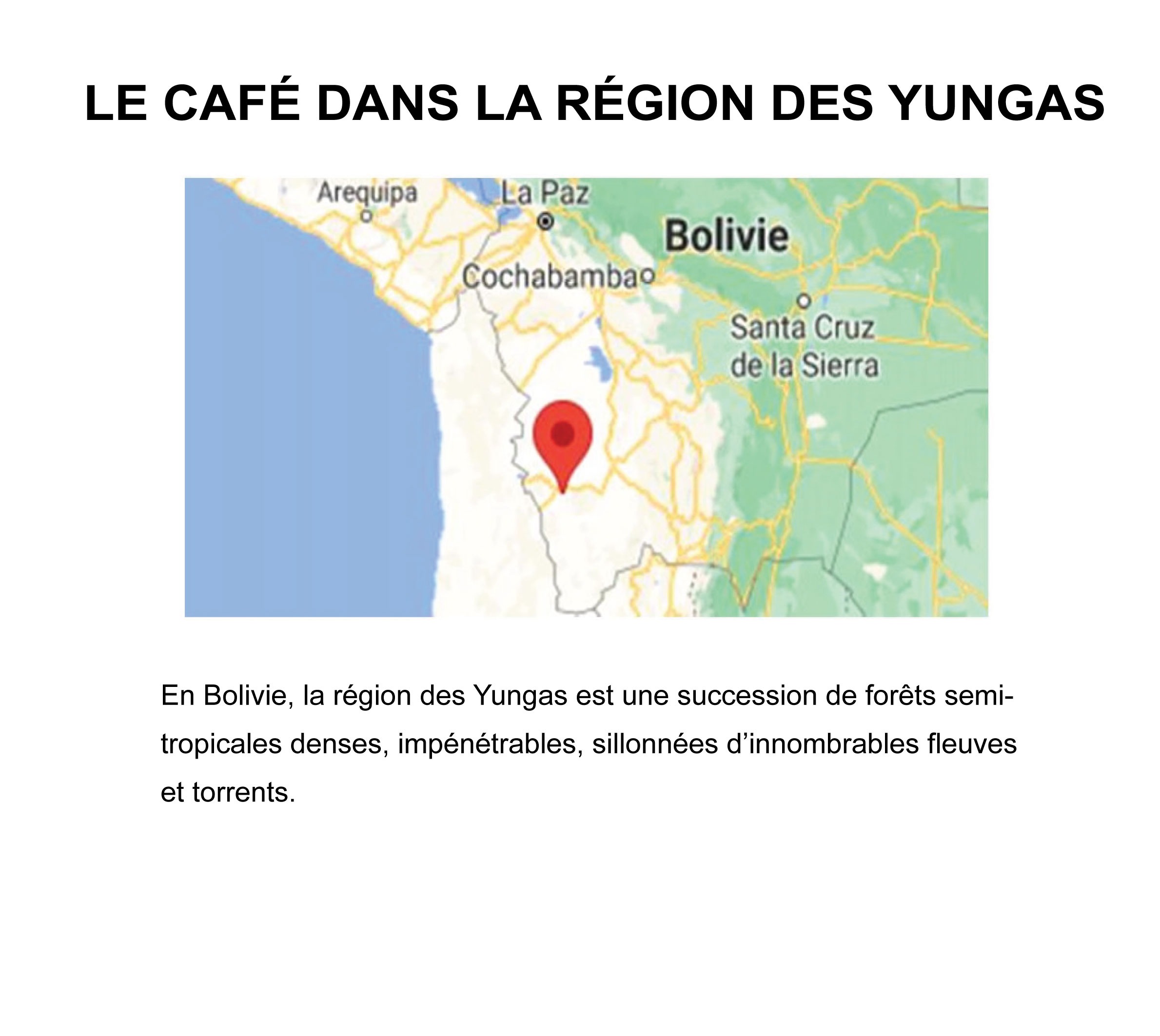 BOLIVIE "LAVE G1" (Café BIO Pur Arabica MAX HAVELAAR) – Image 2