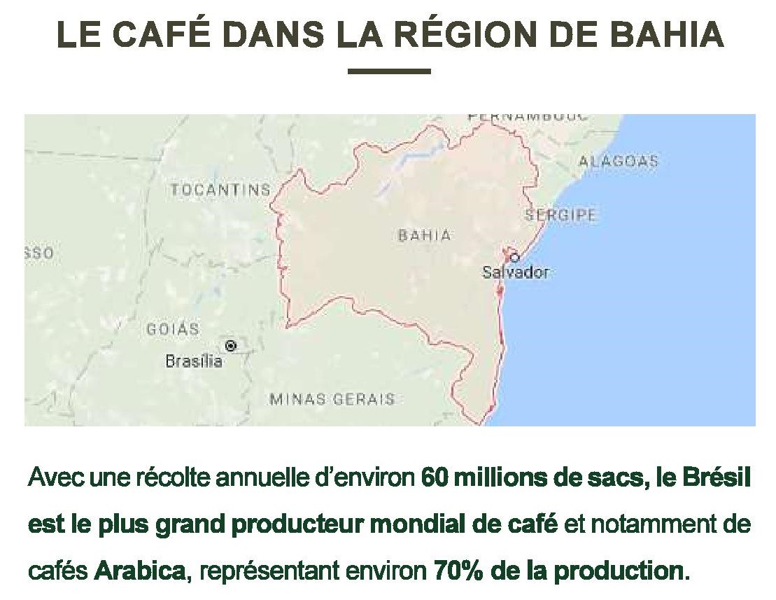 BRÉSIL "BAHIA LAVE" (Café Pur Arabica) – Image 2