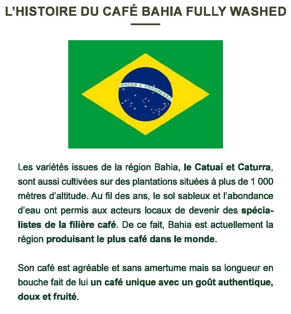 BRÉSIL "BAHIA LAVE" (Café Pur Arabica) – Image 3