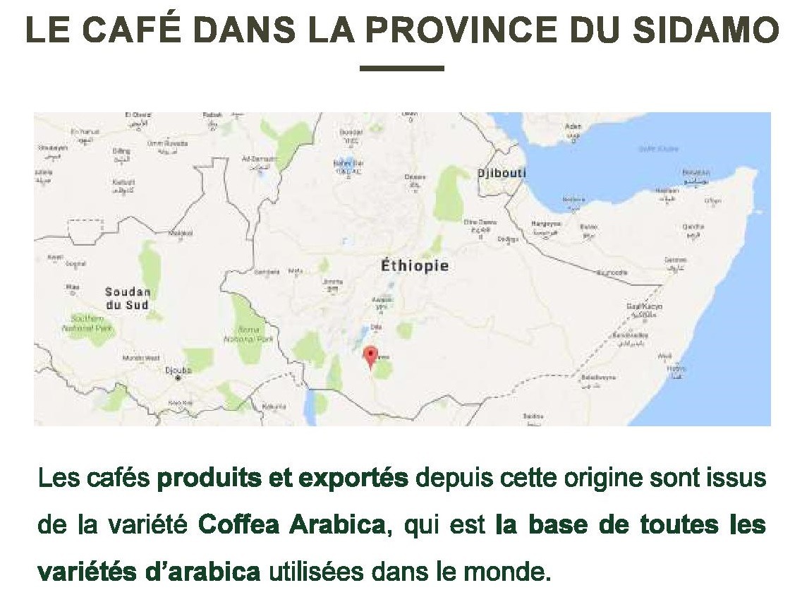 ÉTHIOPIE "MOKA SIDAMO LAVE G2" (Café Pur arabica) – Image 2