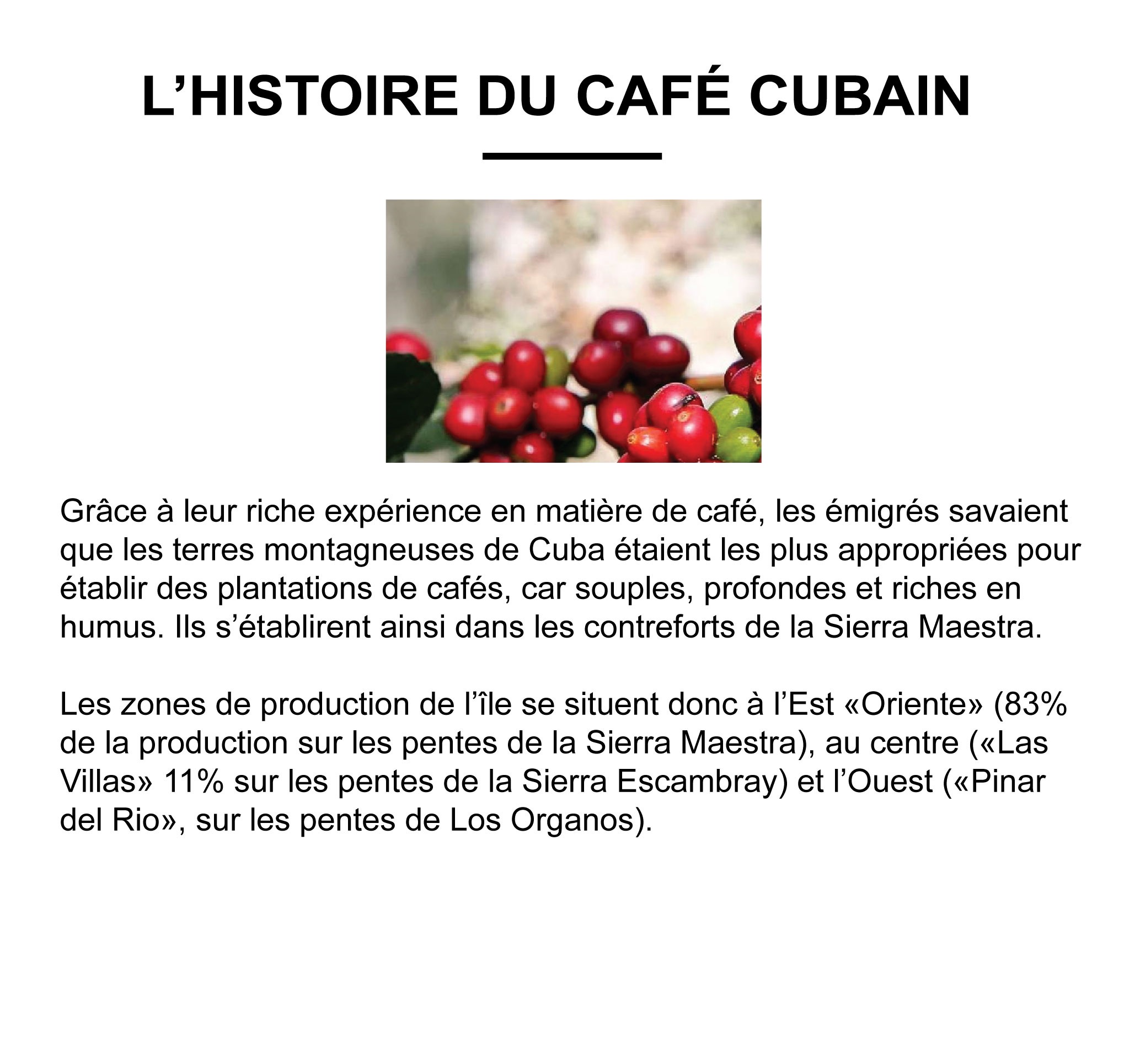 CUBA "SERRANO SUPERIOR" (Café Pur Arabica) – Image 2