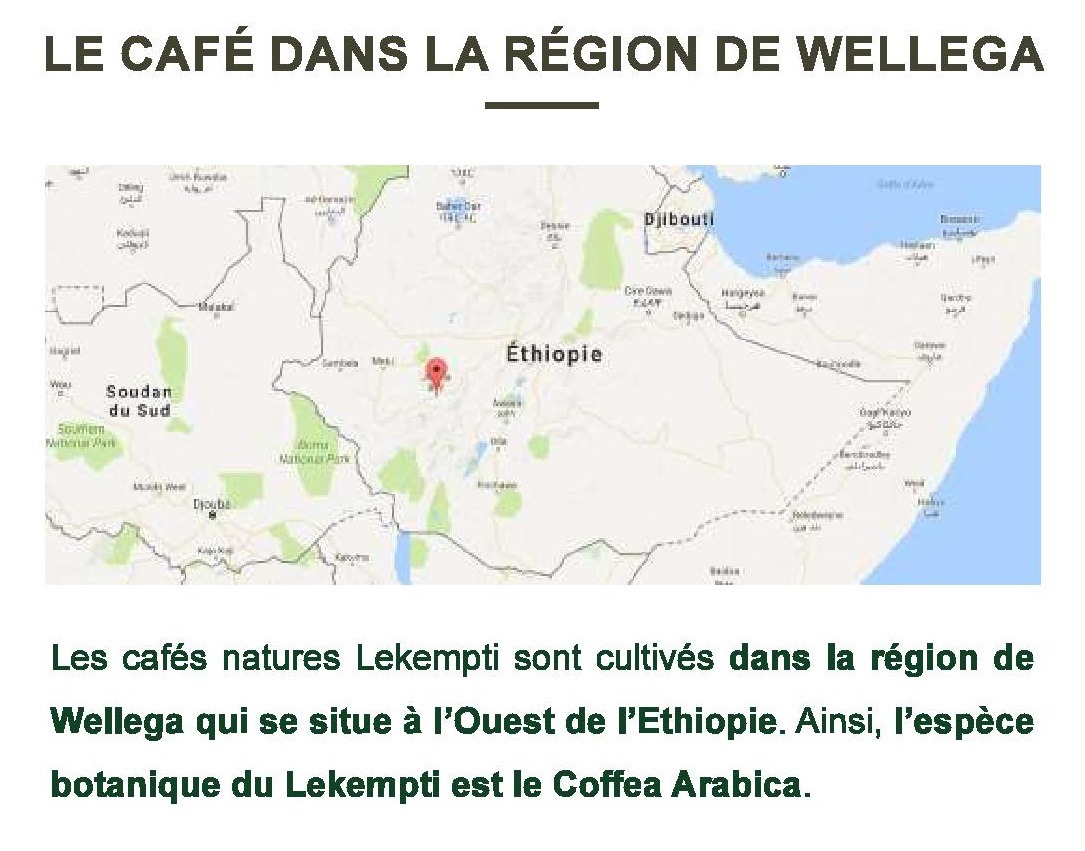 ÉTHIOPIE "MOKA LEKEMPTI" (Café Pur Arabica) – Image 2