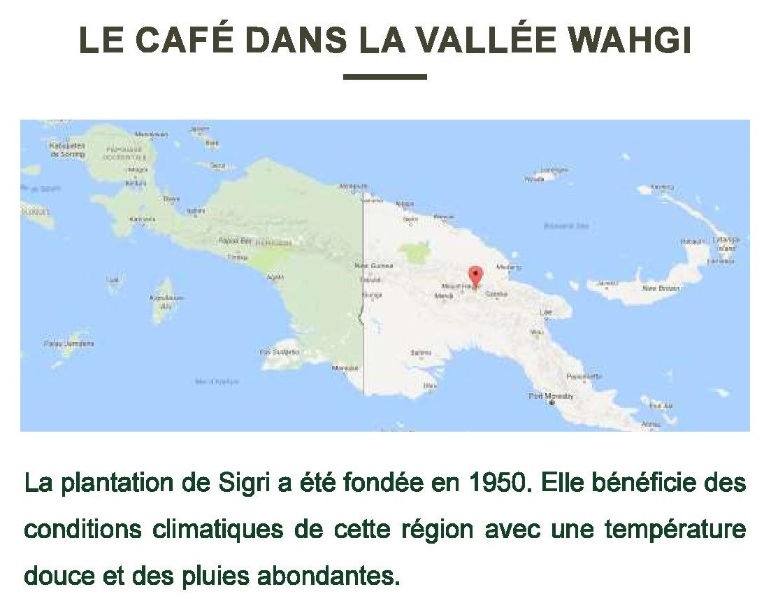 NOUVELLE GUINÉE PAPOUASIE "SIGRI A" (Café Pur Arabica) – Image 2