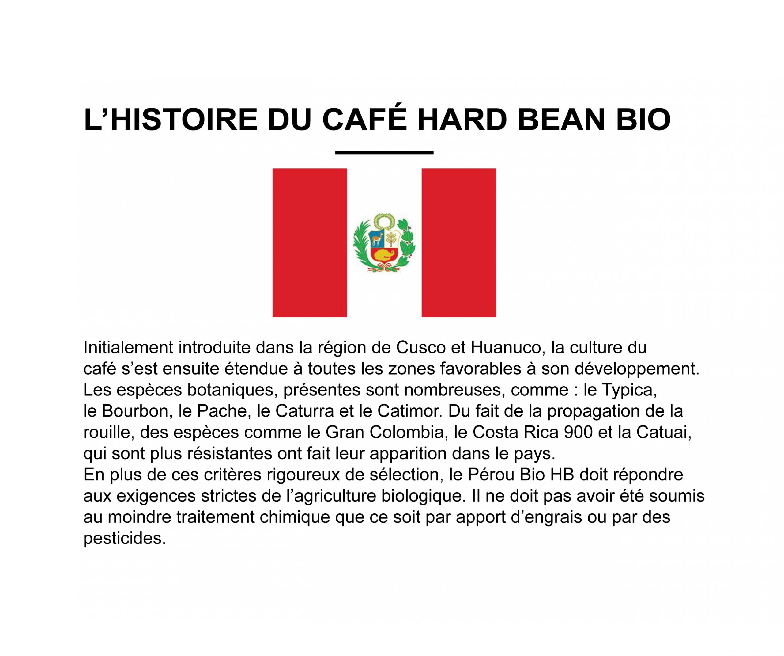 PÉROU "Hard Bean" (Café BIO Pur Arabica) – Image 2