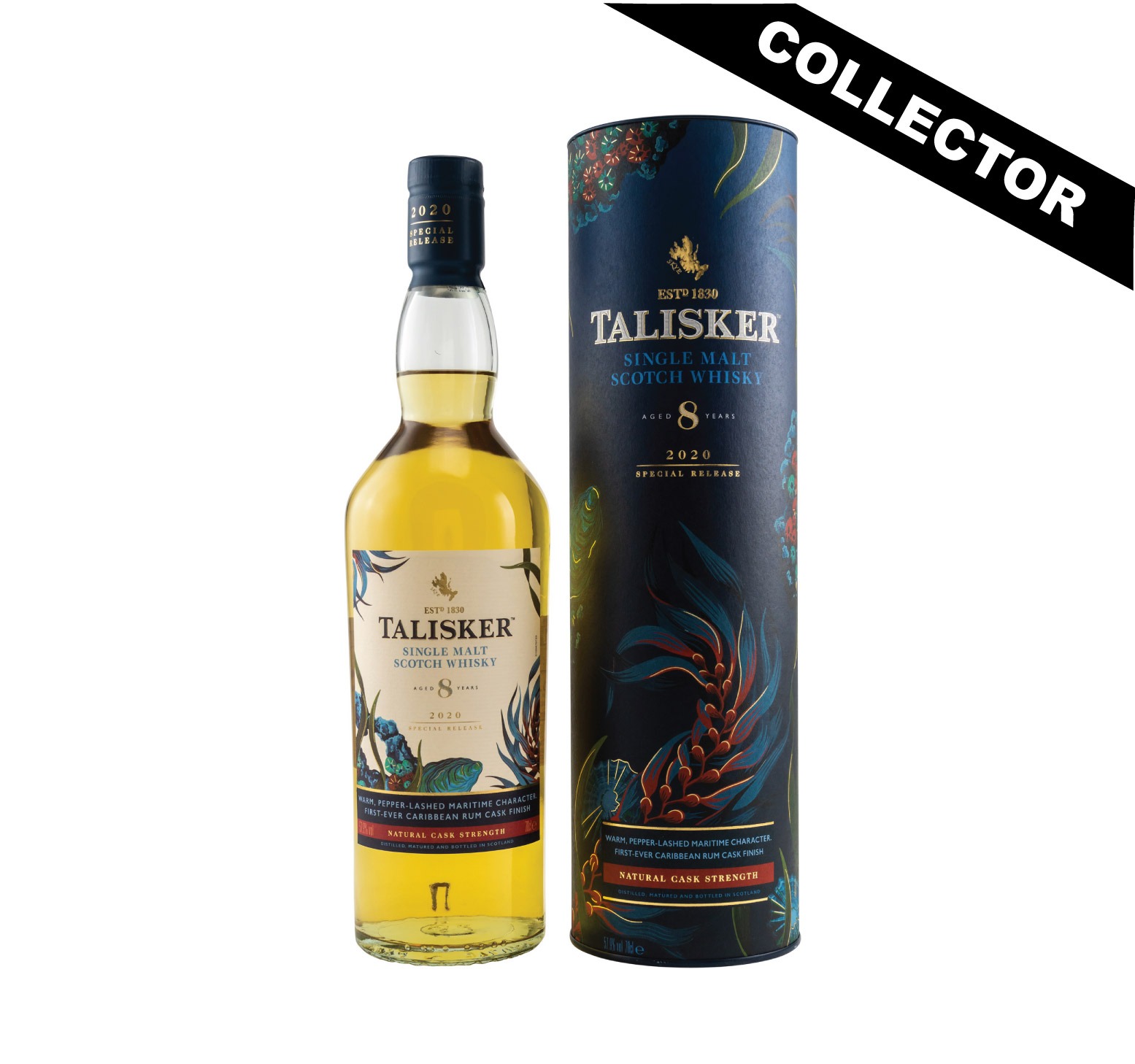 TALISKER 8 ans 57,9% (Release 2020) Single Malt WHISKY (ÉCOSSE / Skye) 70cl