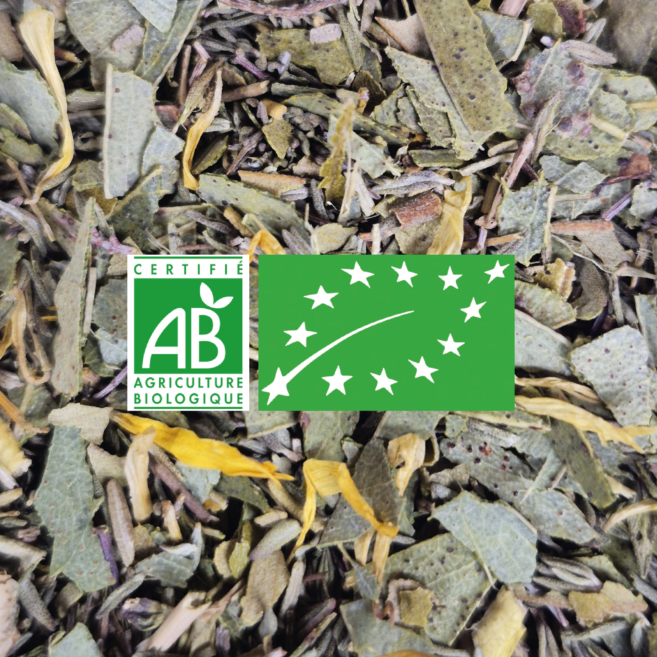 THYM & CITRON BIO (Tisane)