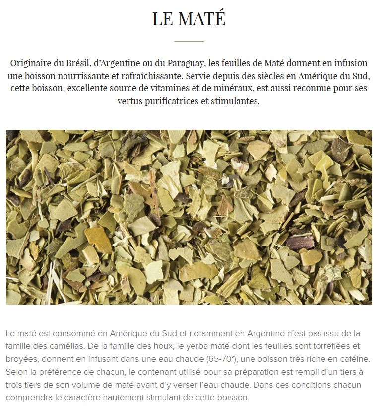 MATÉ VERT (Maté) – Image 2