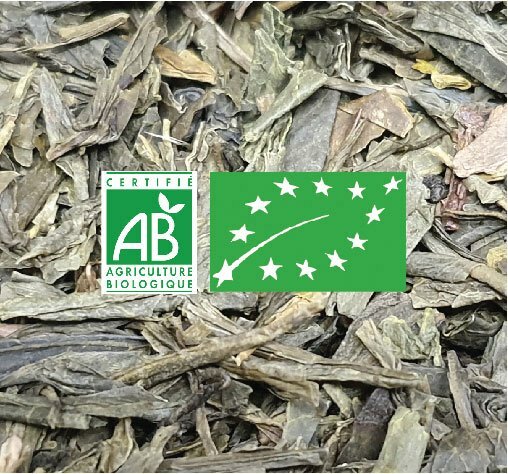 SENCHA BIO (Thé vert BIO de Chine)