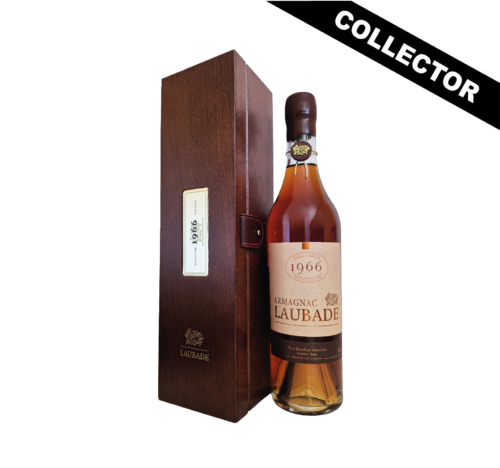 Le 1966 est un millésime recherché, réputé pour son équilibre remarquable entre puissance aromatique, finesse boisée et rancio noble.