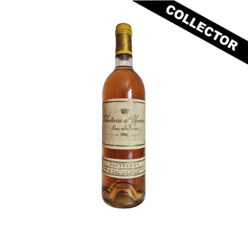 Yquem 1981 est un millésime fin, élégant et parfaitement mature, aujourd’hui considéré comme un Sauternes subtil, raffiné et d’une grande longévité.